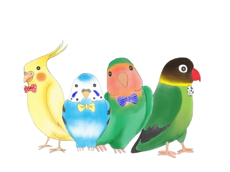 インコ シルエット イラストの無料ダウンロードサイト シルエットac