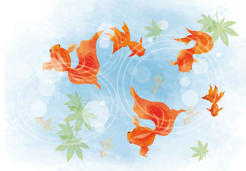 goldfish goldfish