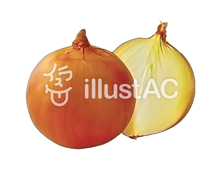 玉ねぎイラスト No 無料イラストなら イラストac