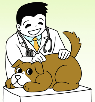 照片素材(图片): 宠物诊所兽医