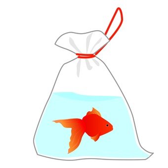 goldfish scooping