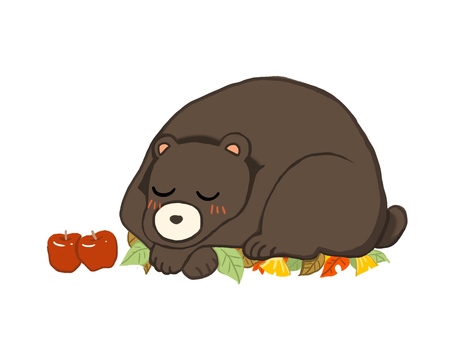 熊冬眠