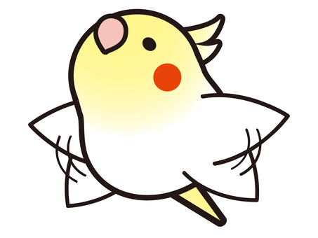 free vector cliparts of 玄凤鹦鹉 | illustac