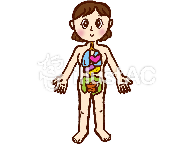 人体イラスト - No: 499194／無料イラストなら「イラストAC」