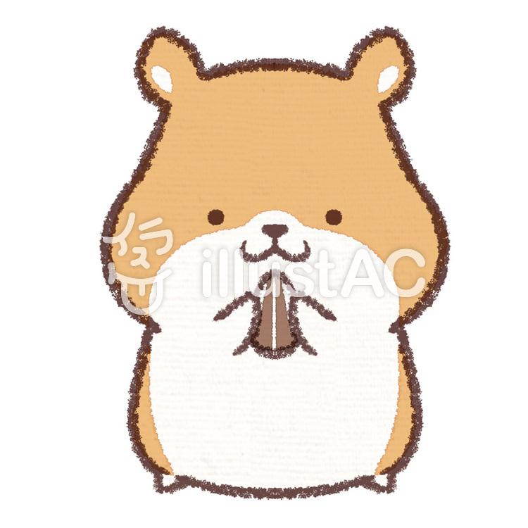 はむはむハムスターイラスト No 無料イラストなら イラストac