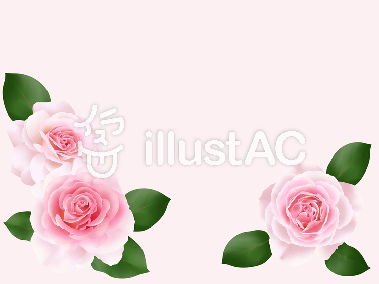 【フリーイラスト素材】ピンクの薔薇のフレーム2