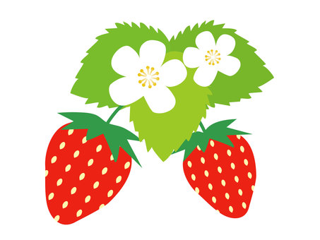 strawberry flowers