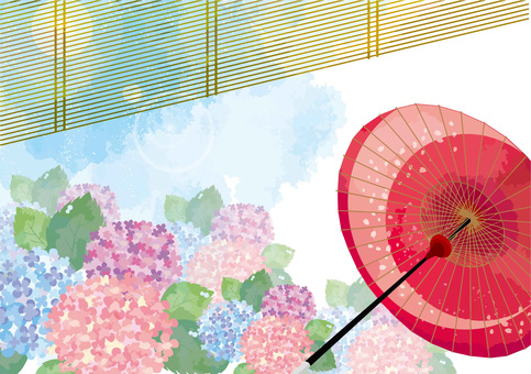 Hydrangea and Japanese umbrella Hydrangea and Japanese umbrella