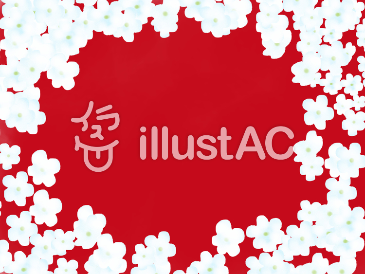 花魁草 フロックス 6イラスト No 無料イラストなら イラストac