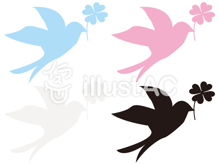 鳥 鳥のイラスト