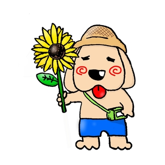 照片素材(图片): 向日葵 夏天 蜜蜂 花