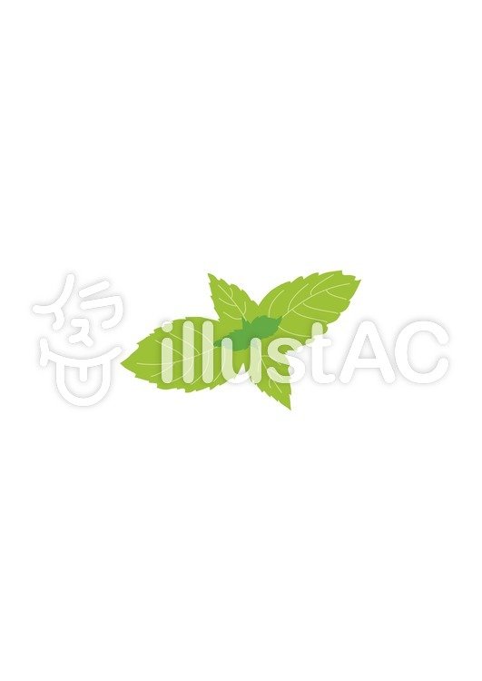ミントイラスト No 516 無料イラストなら イラストac
