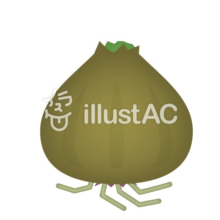 球根イラスト - No: 165304／無料イラストなら「イラストAC」