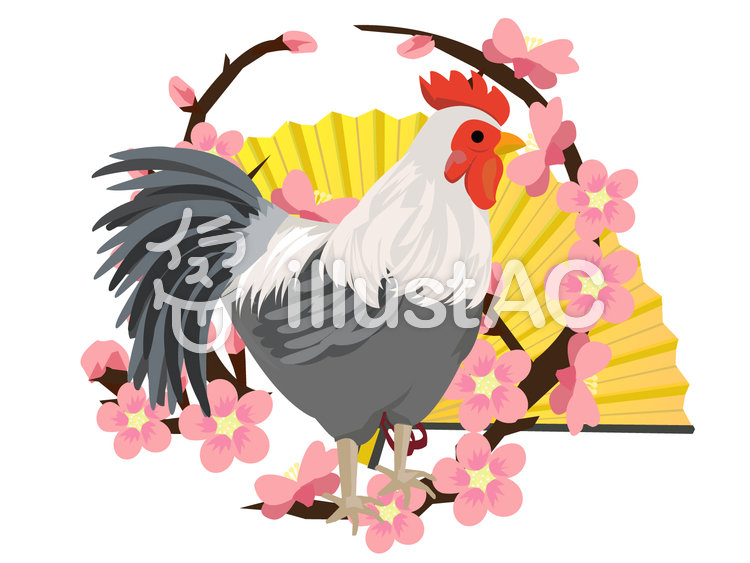 酉年 梅の輪と鶏 酉年 梅の輪と鶏のイラスト