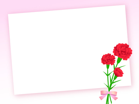 康乃馨人参草花束1