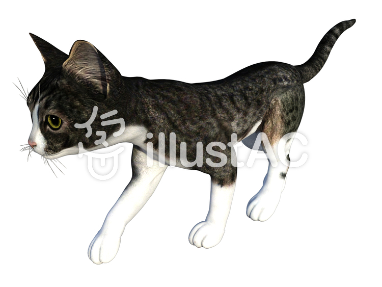 歩く子猫(トラ猫/グレイ) 歩く子猫(トラ猫/グレイ)のイラスト