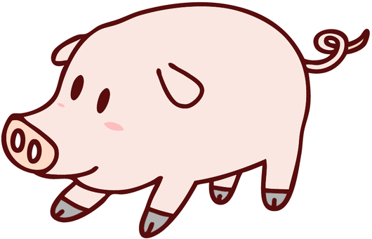 pig illustrations