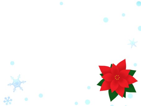 poinsettia white background red