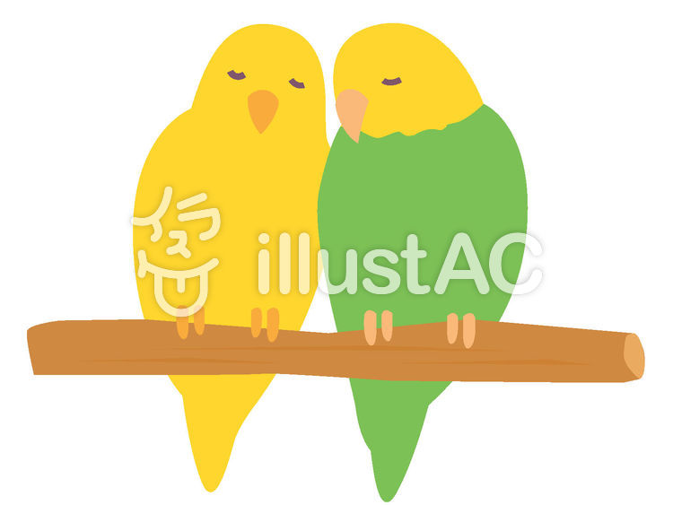 止まり木で眠るインコ 二羽イラスト No 7879 無料イラストなら イラストac