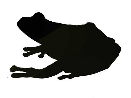 青蛙(剪影)