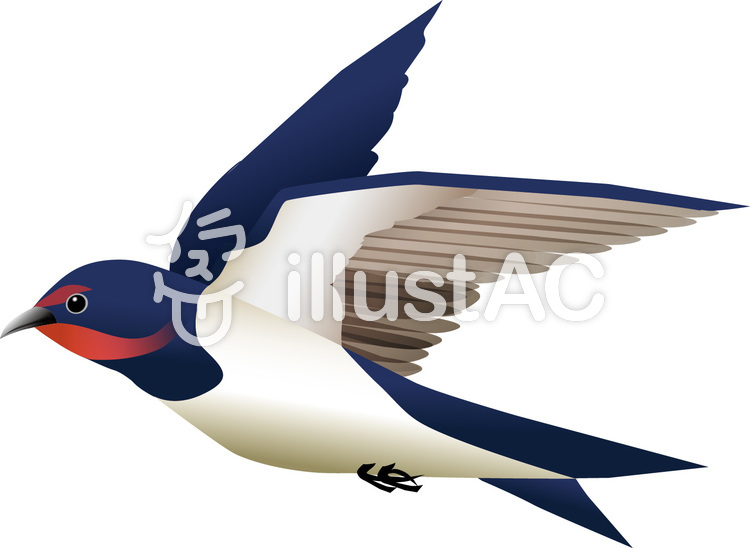 ツバメ ツバメのイラスト