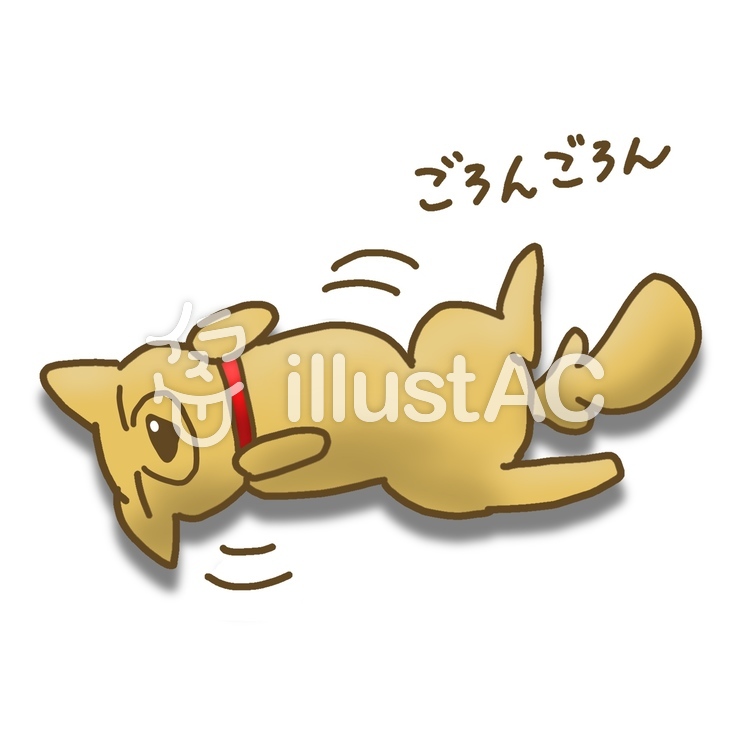 柴犬ごろごろイラスト No 無料イラストなら イラストac