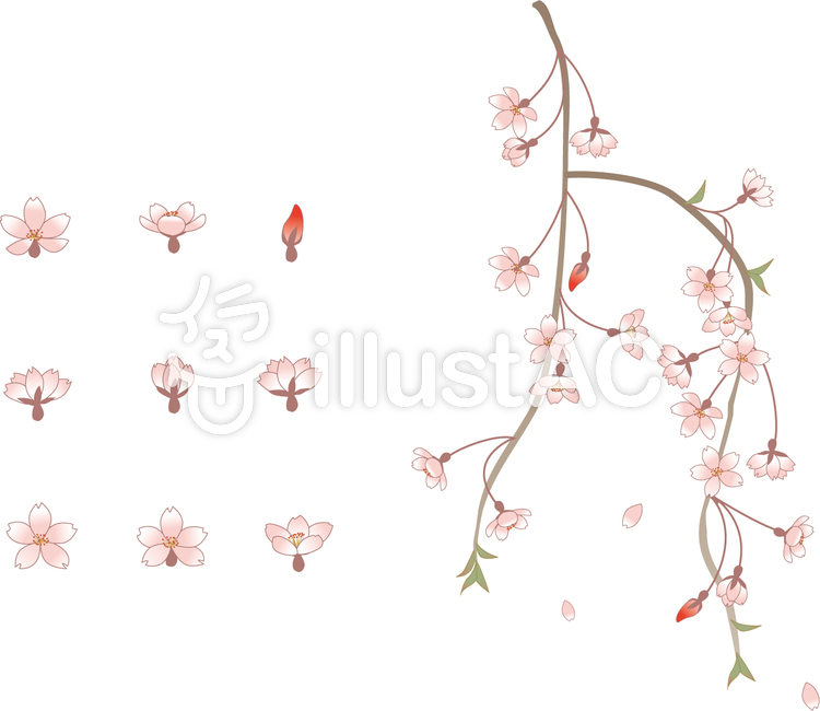 綺麗なイラスト しだれ 桜 ディズニー画像のすべて