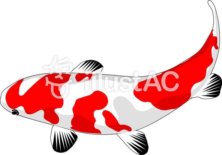 Koikura Free Photo Photoac photoac