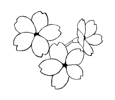 樱花(黑白)