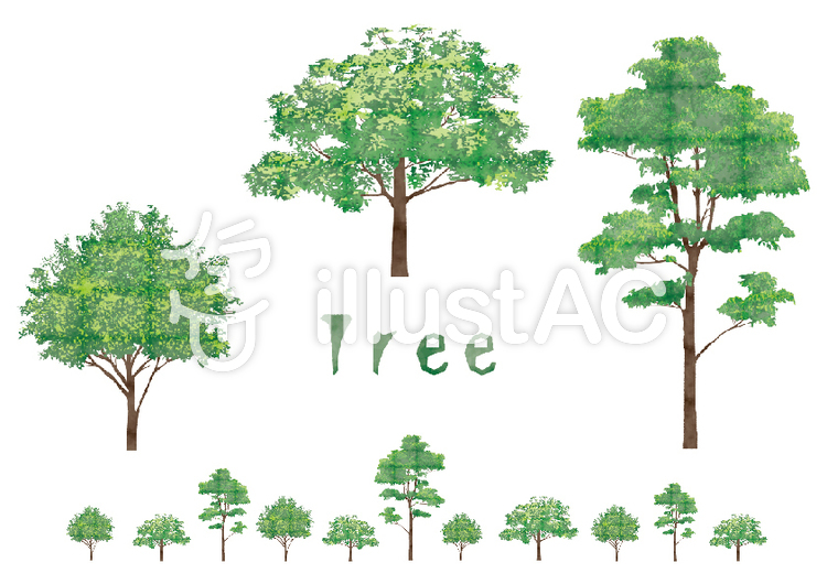 イラスト_treeイラスト - No: 496041／無料イラストなら「イラストAC」