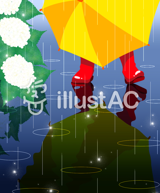 雨の日のお散歩