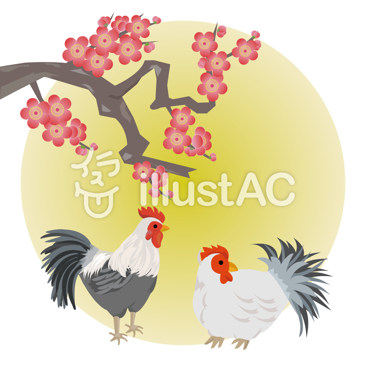 酉年 梅とに二羽の鶏 酉年 梅とに二羽の鶏のイラスト