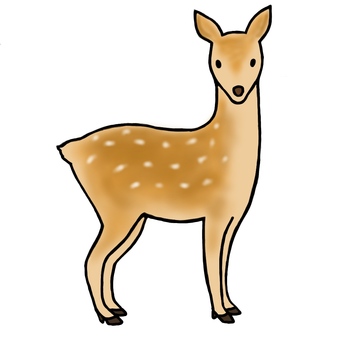 ぜいたく小鹿 イラスト 動物ゾーン