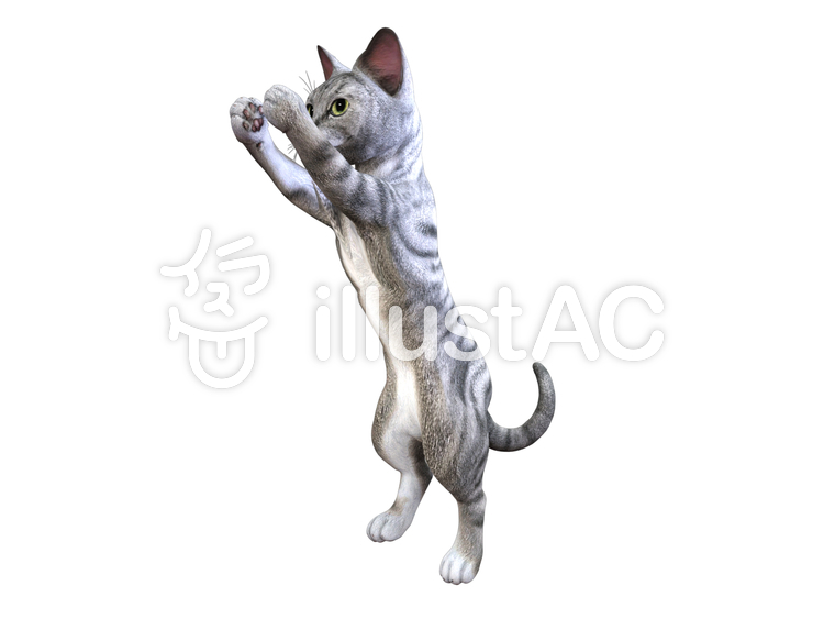 キャッチする子猫(トラ猫/シルバー) キャッチする子猫(トラ猫/シルバー)のイラスト