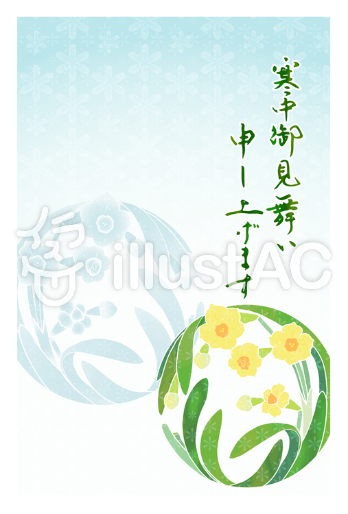 寒中見舞い(水仙) 寒中見舞い(水仙)のイラスト