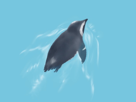 フンボルトペンギン シルエット イラストの無料ダウンロードサイト シルエットac