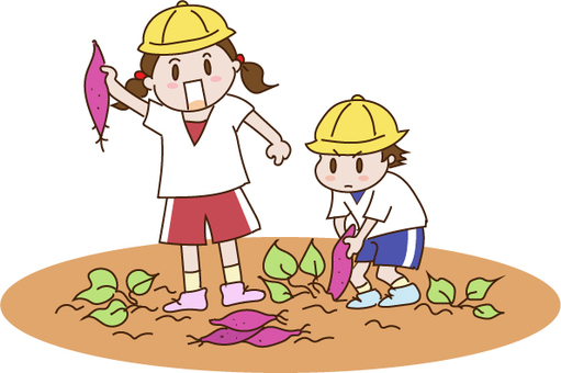 照片素材(图片): 挖土豆 土豆田 imohori imohori 大量