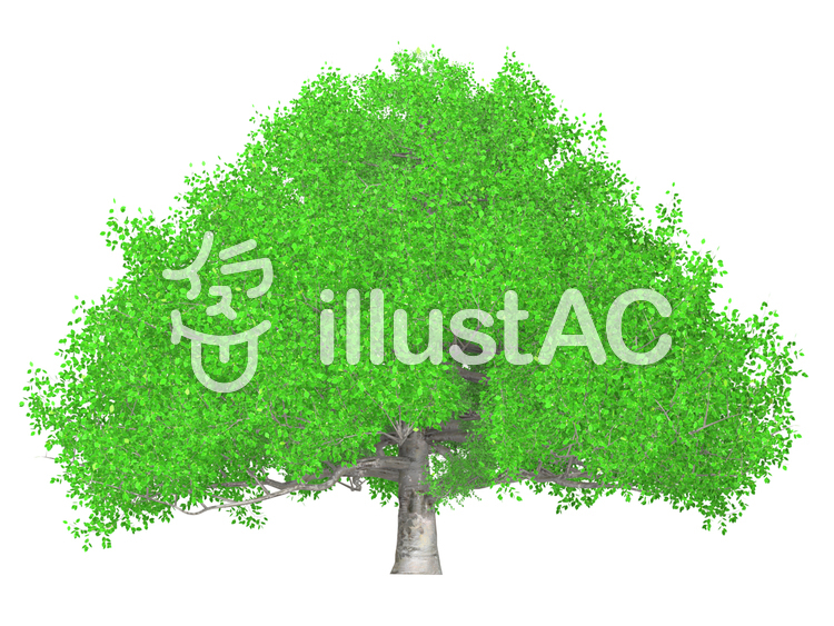 大きな木_006イラスト - No: 438473／無料イラストなら「イラストAC」