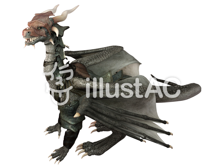 グレイ・アーマー・ドラゴン グレイ・アーマー・ドラゴンのイラスト
