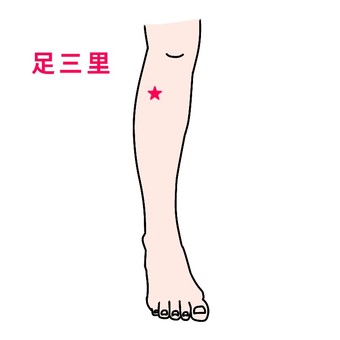 足つぼ シルエット イラストの無料ダウンロードサイト シルエットac