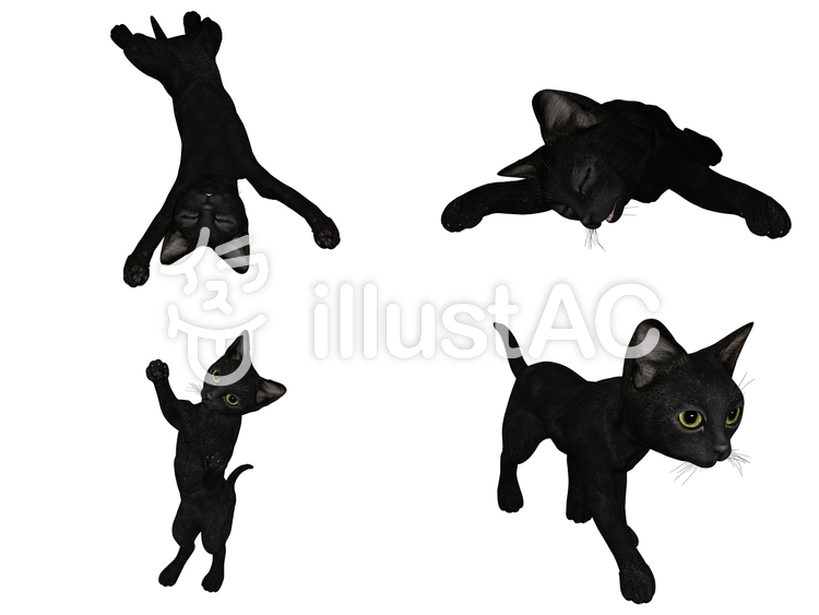 黒子猫四態 黒子猫四態のイラスト