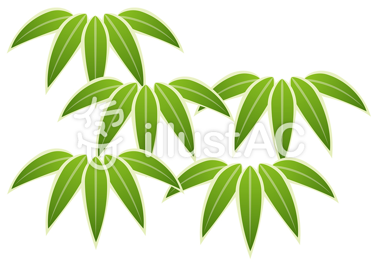 お正月笹7イラスト No 無料イラストなら イラストac