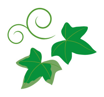 照片素材(图片): 常春藤 叶子 常春藤 植物 常春藤