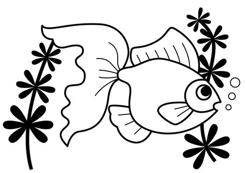 免费的剪贴画:金鱼 水草 水纹 实 植物 - 512639 |illustac