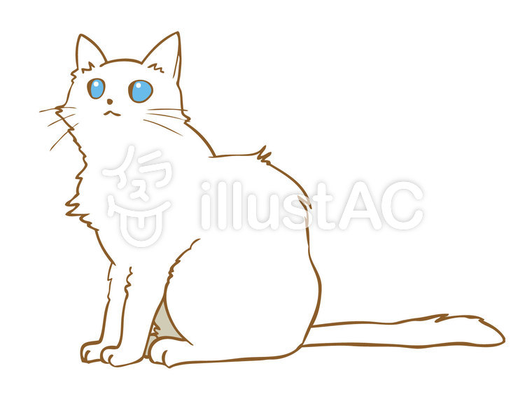 青い目のおすまし白猫 青い目のおすまし白猫のイラスト