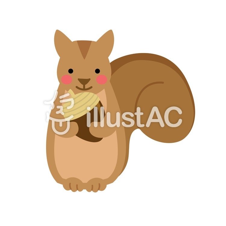 Squirrel And Acorns Free Download Illustac