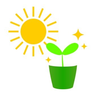 植物和太阳