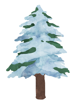 针叶树 -枝- ③ 植物 水