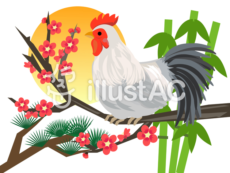 酉年 鶏と松竹梅 酉年 鶏と松竹梅のイラスト